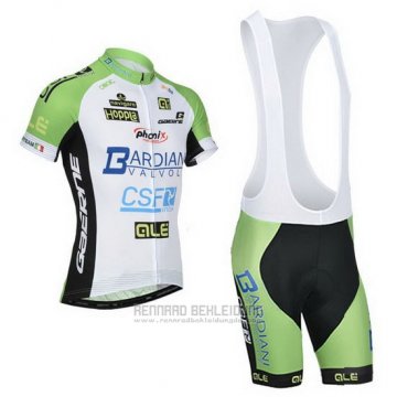 2014 Fahrradbekleidung Bardiani Wei und Grun Trikot Kurzarm und Tragerhose